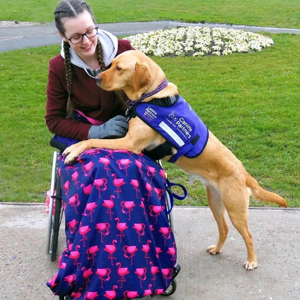 Adult fleece-lined wheelchair cosy - NAVY FLAMINGO