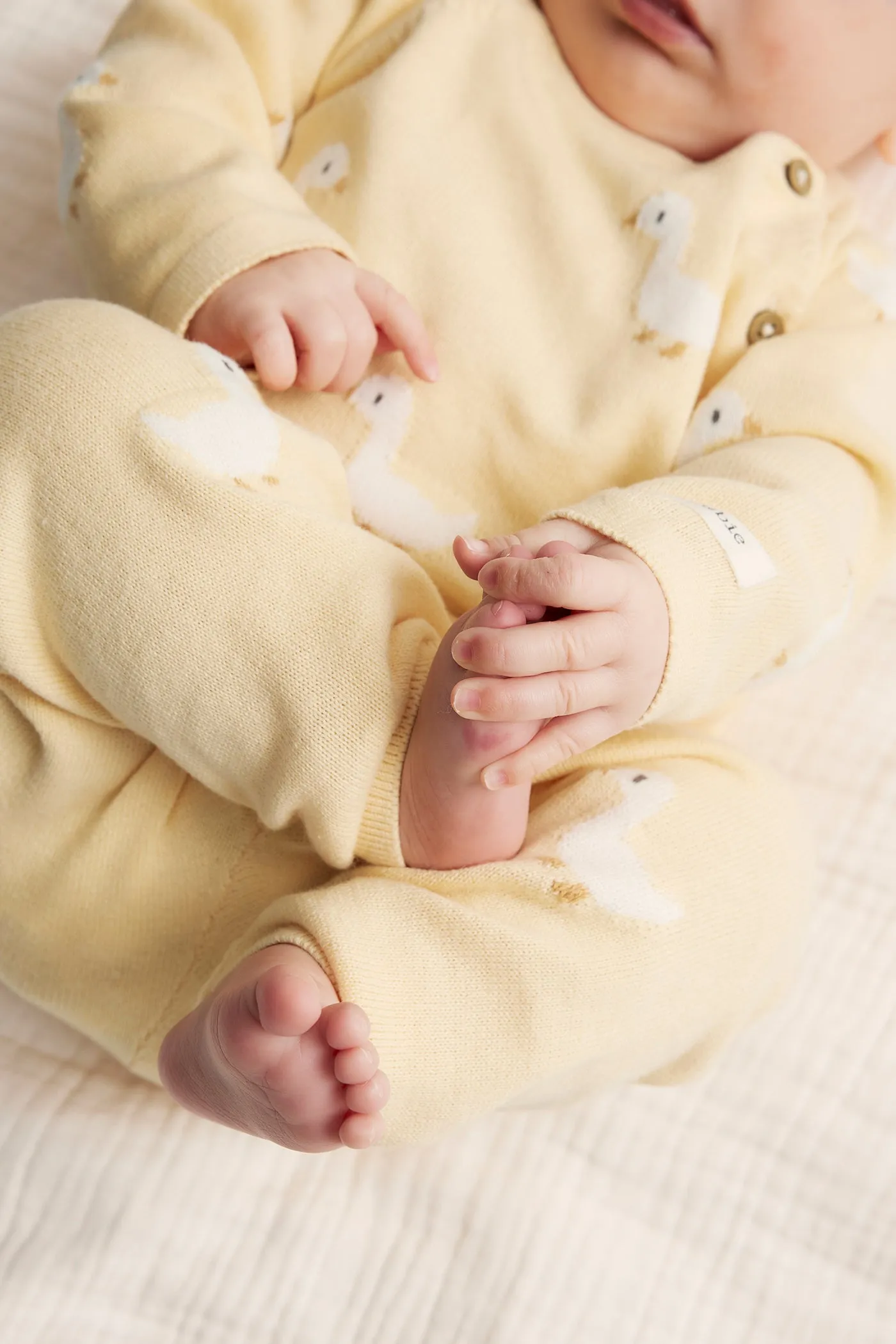 Baby yellow duck leggings