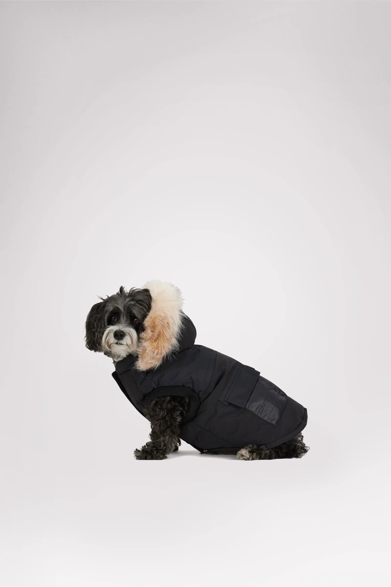 Zeus Jacket for Dogs w/Faux Fur Trim