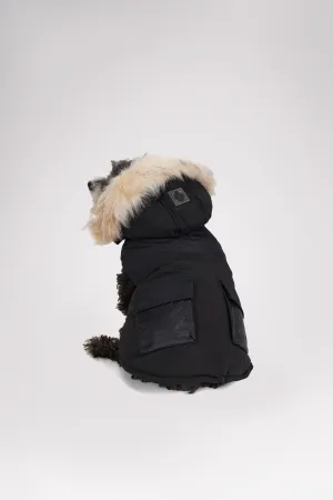 Zeus Jacket for Dogs w/Faux Fur Trim